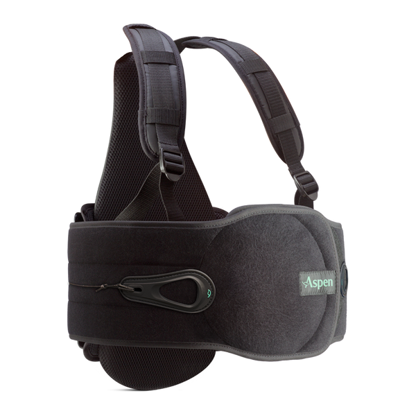 Evergreen456_01_Shadow_800x800